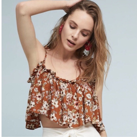 Anthropologie Tops - Anthropologie faithful the brand chaina floral print brown crop top size…